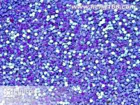 L23#圆紫色金葱粉