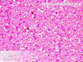 L22#圆粉红金葱粉