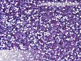 HC-19#圆浅紫金葱粉