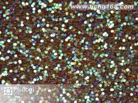 L125#圆幻彩浅啡金葱粉