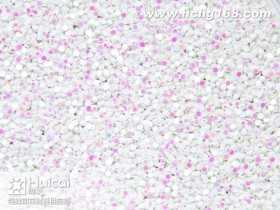 HC-43#圆幻彩白七彩金葱粉